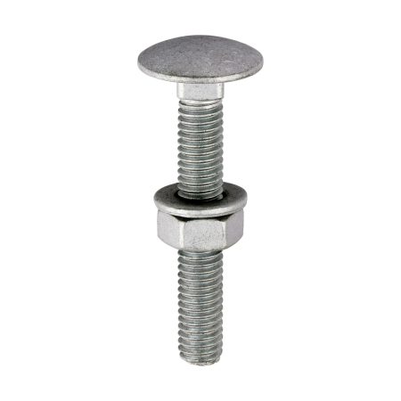 Dome Head Carriage Bolt