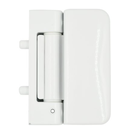 Evolution 3D Security Flag Hinge