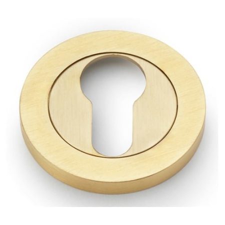 Alexander & Wilks AW390SBPVD Concealed Fix Escutcheon Euro Profile - Satin Brass PVD (LEAD TIME: 2-3 DAYS)