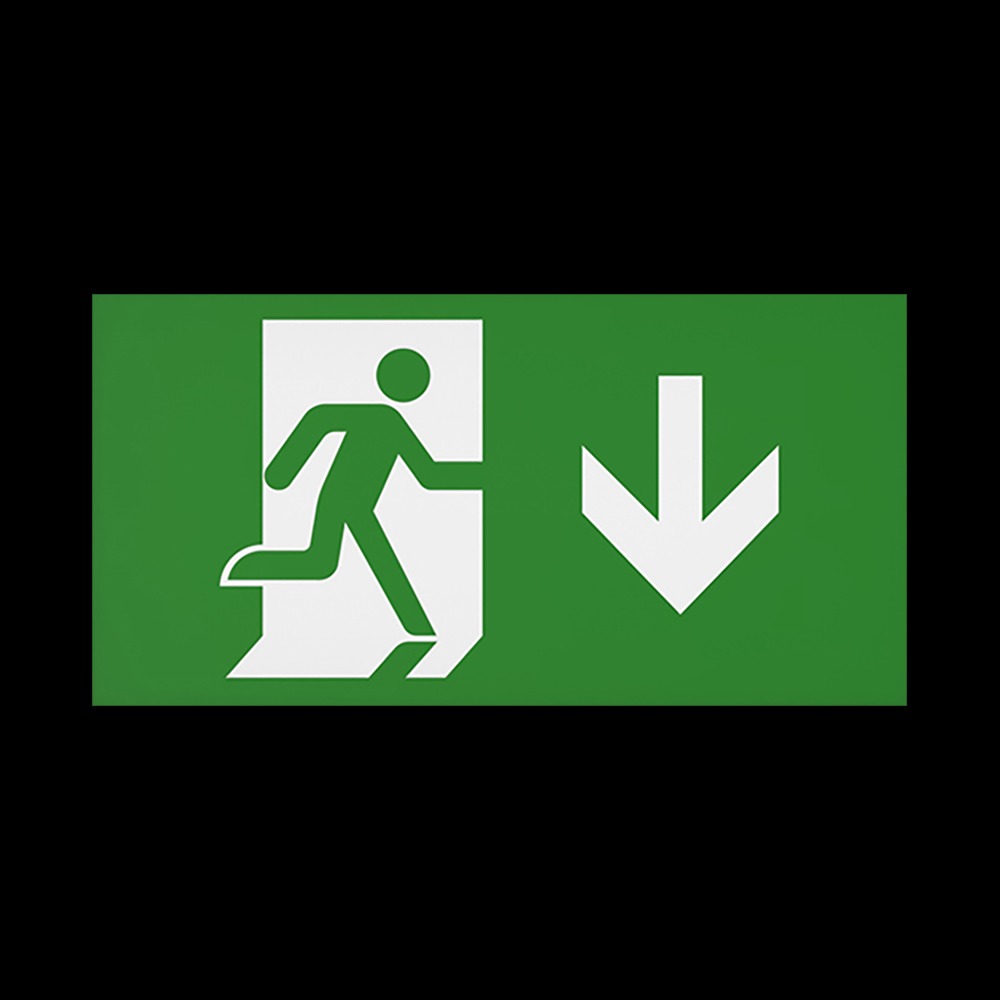 CQR SE/4/LEG/D Emergency Legend for Slim Exit Box, Arrow Down (LEAD TIME: 2-3 DAYS)